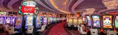 pkr663 Powerball Texas Hold’em